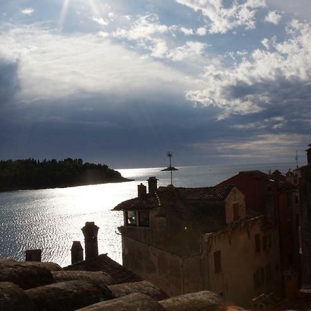 Apartment Lacerta Rovinj Dış mekan fotoğraf